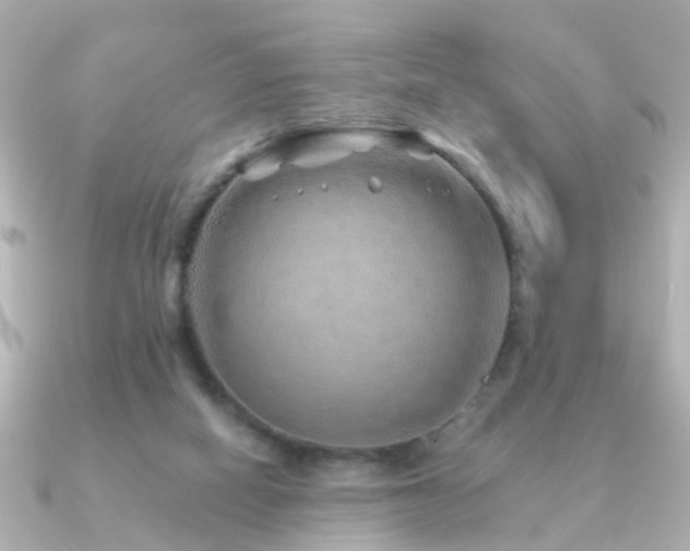X0000091230066200708091425