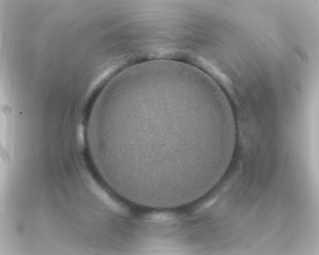 X0000091230067200708091425