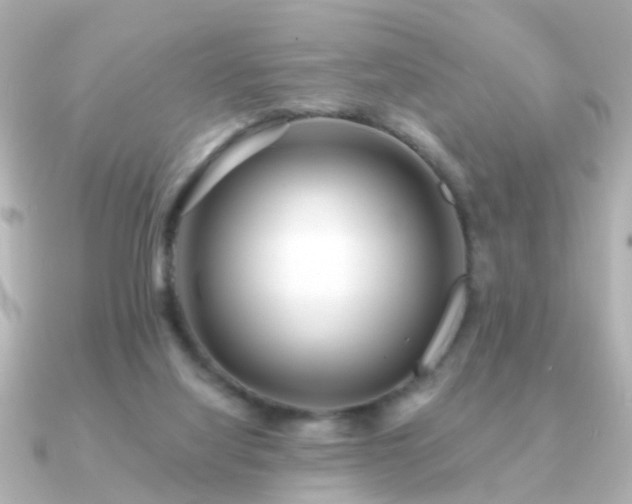 X0000091230068200708091425