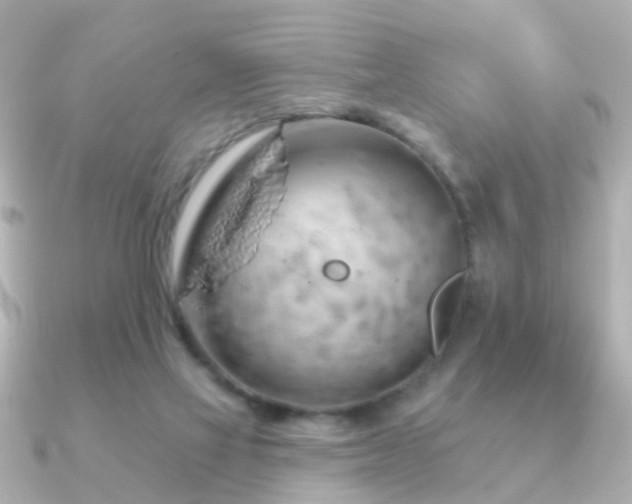 X0000091230069200708091425