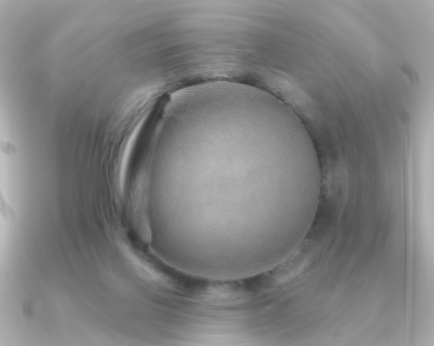 X0000091230070200708091425