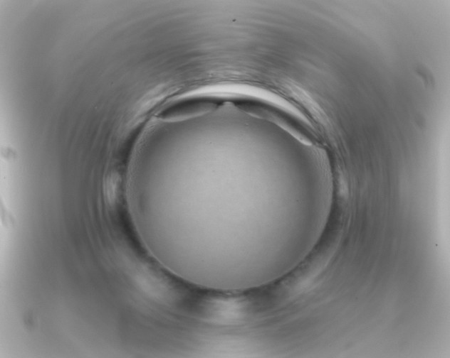 X0000091230071200708091425