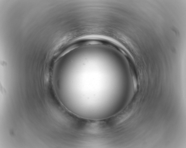 X0000091230072200708091425