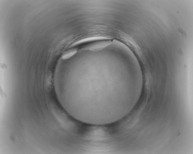 X0000091230073200708091425