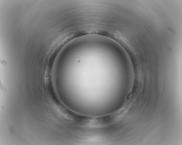 X0000091230074200708091425