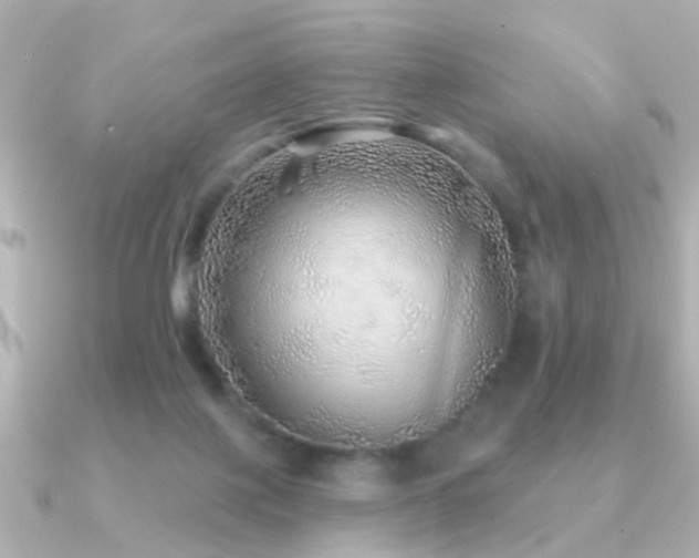 X0000091230075200708091425