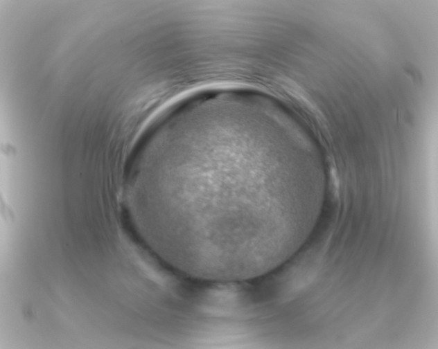 X0000091230076200708091425