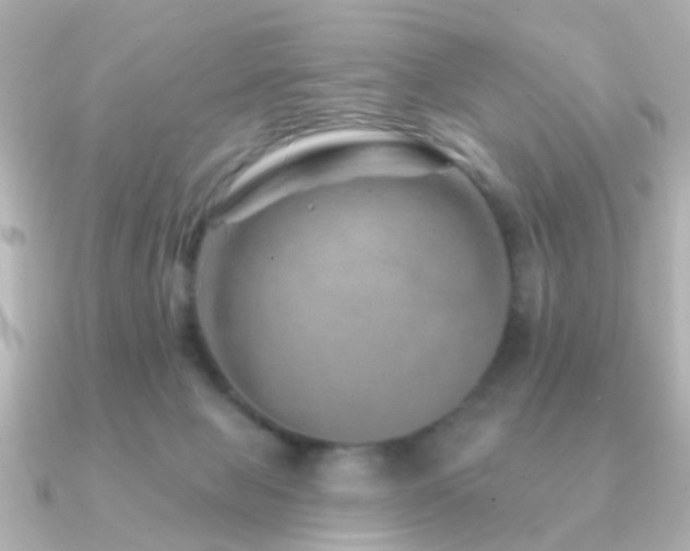 X0000091230077200708091425