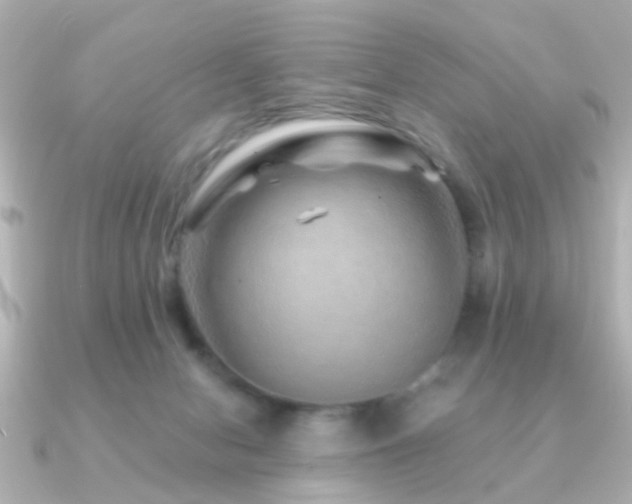 X0000091230078200708091425