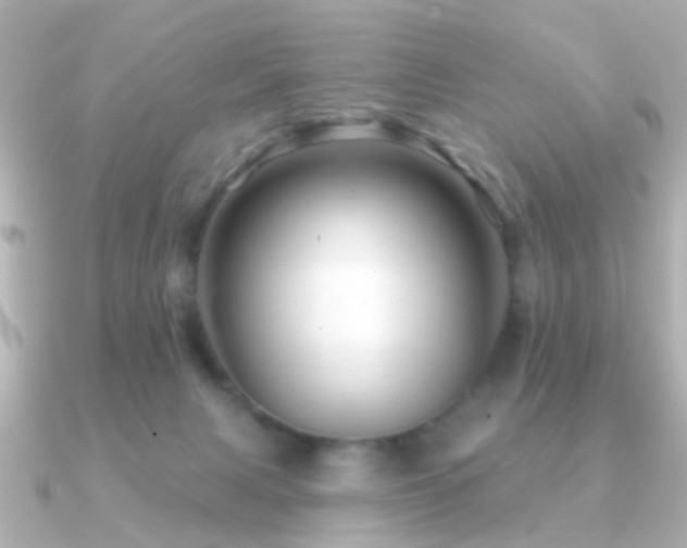 X0000091230079200708091425
