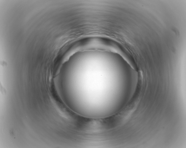 X0000091230080200708091425