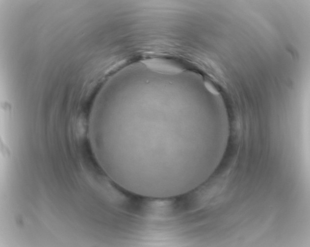 X0000091230081200708091425