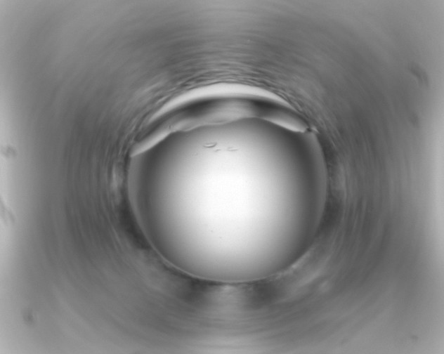 X0000091230082200708091425