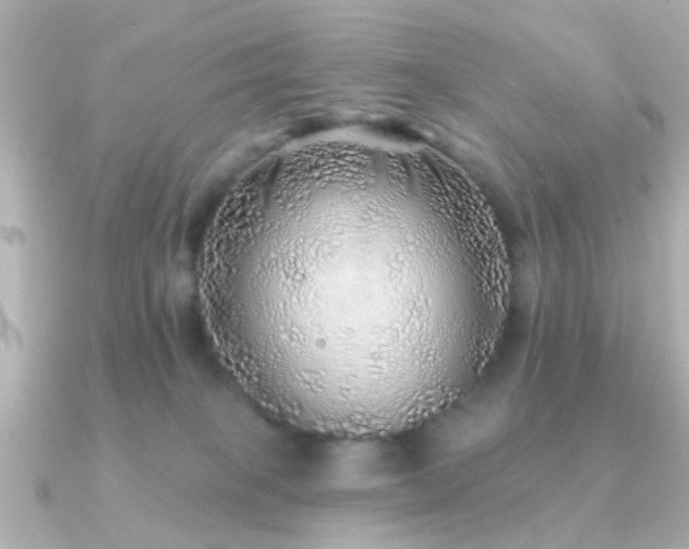 X0000091230085200708091425