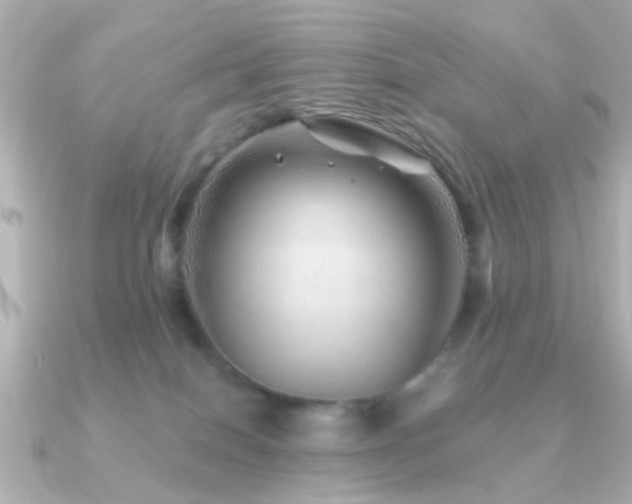X0000091230086200708091425