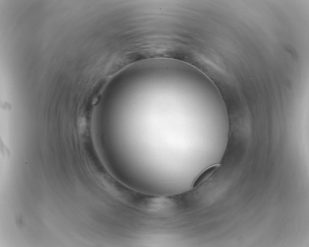 X0000091230087200708091425