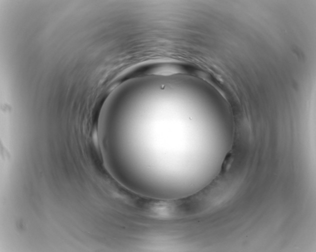 X0000091230088200708091425