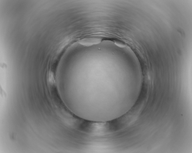 X0000091230089200708091425