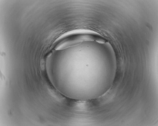 X0000091230090200708091425