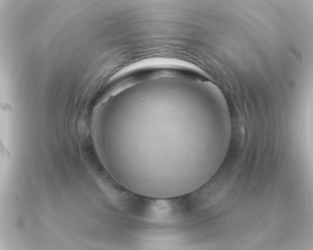 X0000091230091200708091425