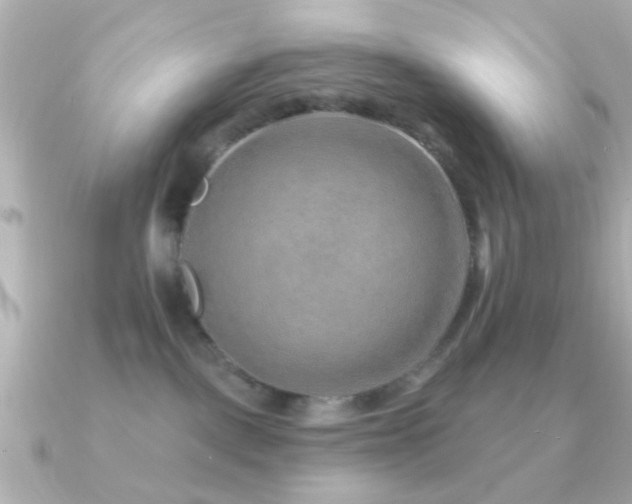 X0000091230093200708091425