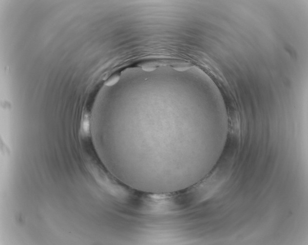 X0000091230095200708091425