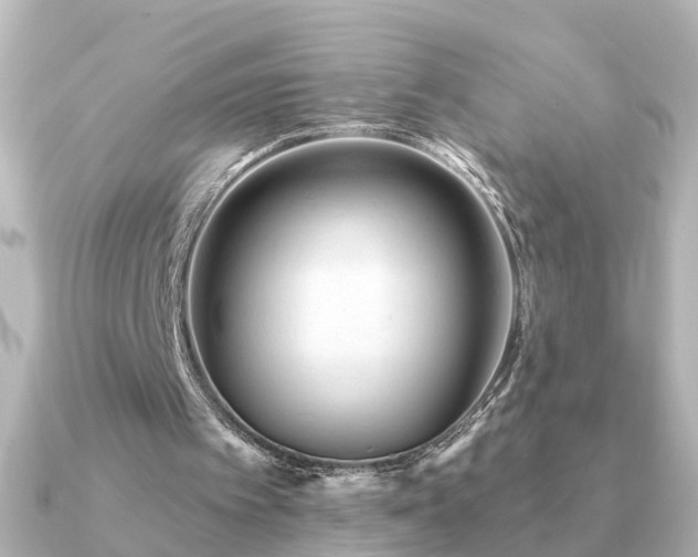 X0000091230097200708091425