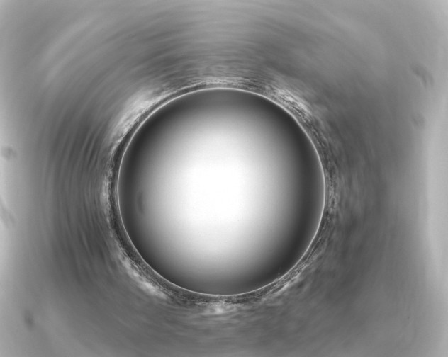 X0000091230098200708091425