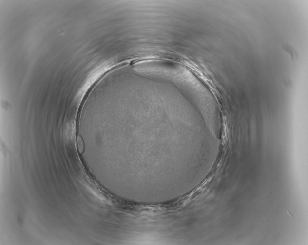 X0000091230099200708091425