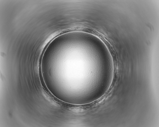 X0000091230100200708091425