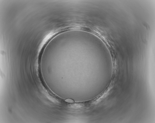 X0000091230102200708091425
