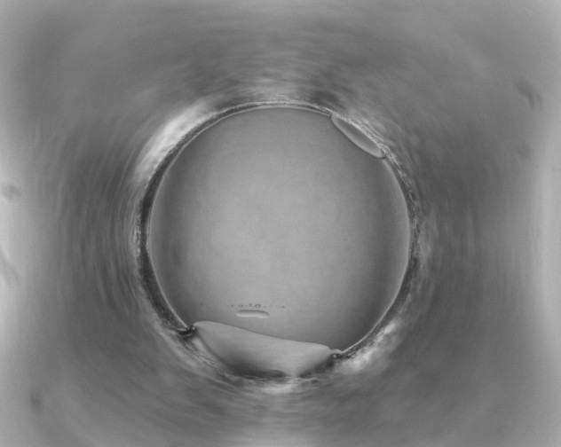 X0000091230103200708091425