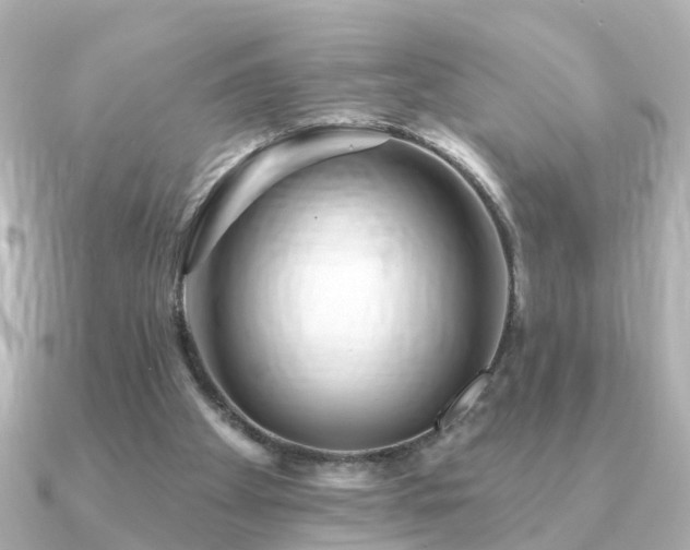 X0000091230105200708091425