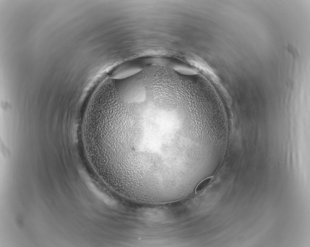 X0000091230106200708091425