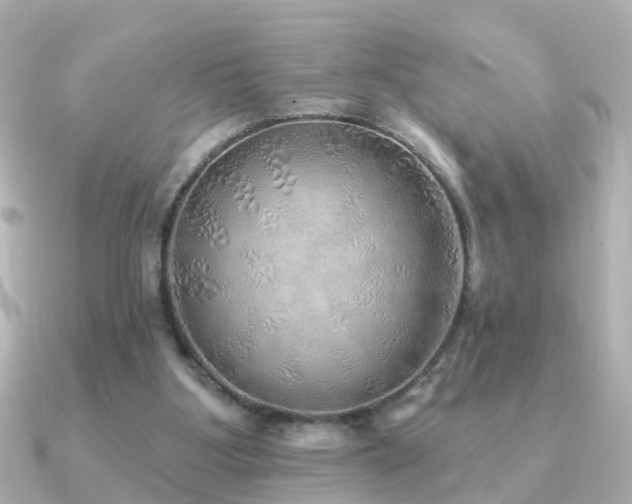 X0000091230107200708091425