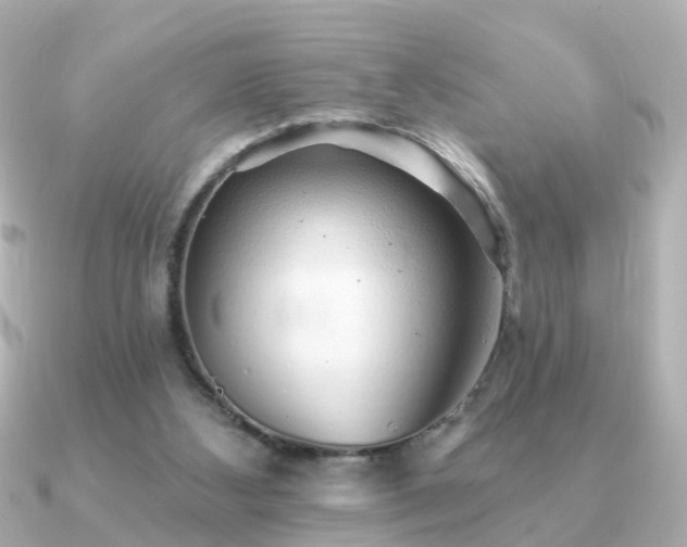 X0000091230108200708091425