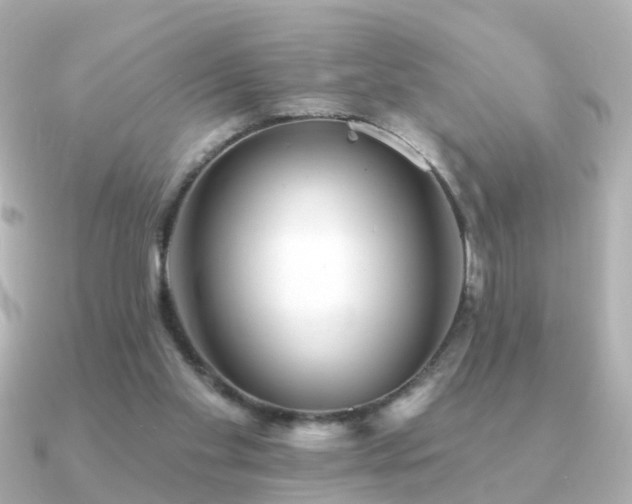 X0000091230109200708091424
