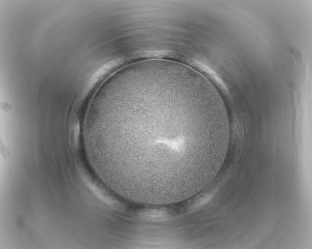 X0000091230110200708091424