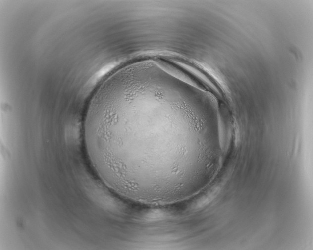 X0000091230111200708091424