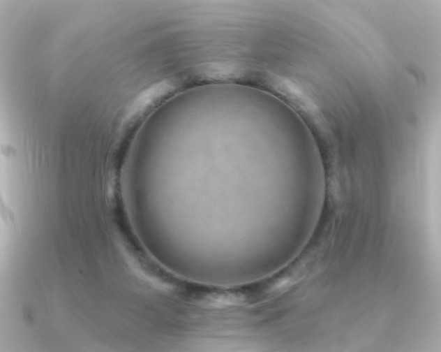 X0000091230115200708091424