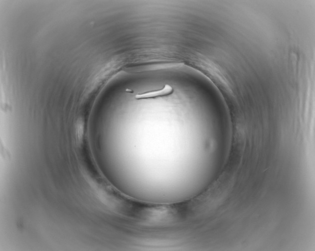 X0000091230118200708091424