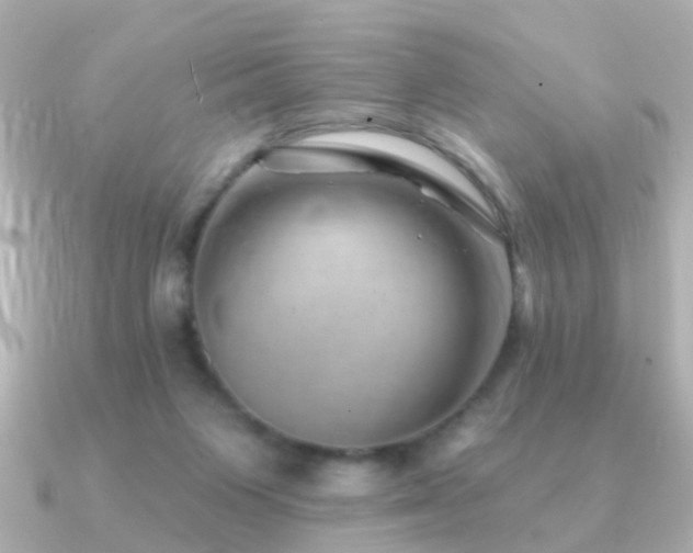 X0000091230119200708091424