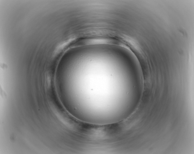 X0000091230120200708091424