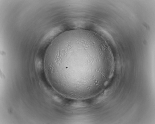 X0000091230123200708091424