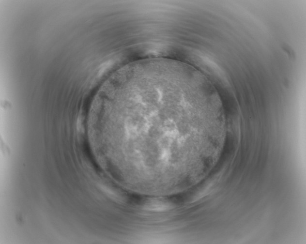 X0000091230127200708091424