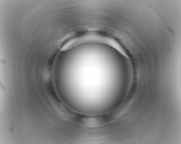 X0000091230129200708091424