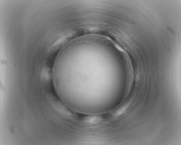 X0000091230135200708091424