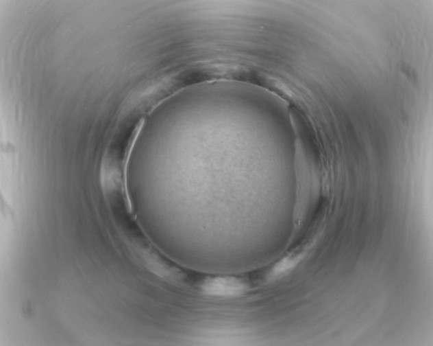 X0000091230137200708091424