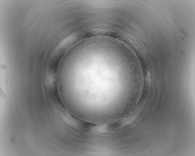 X0000091230138200708091424