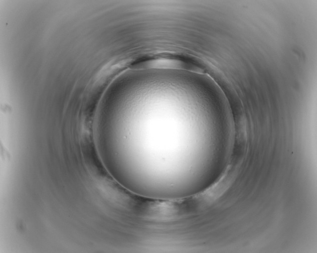 X0000091230140200708091424